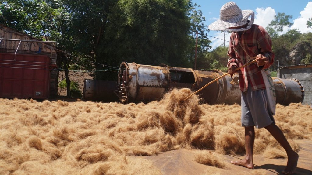 Potensi serat sabut kelapa untuk industri kreatif
