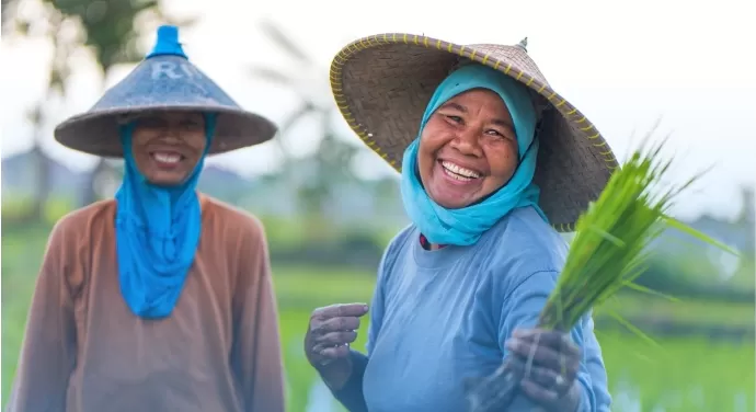 pengadaan bahan lokal berkualitas