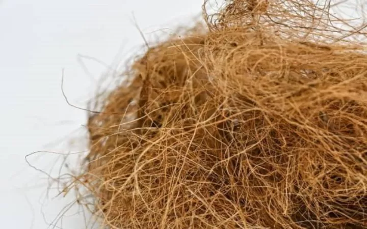 fungsi sabut kelapa dalam industri