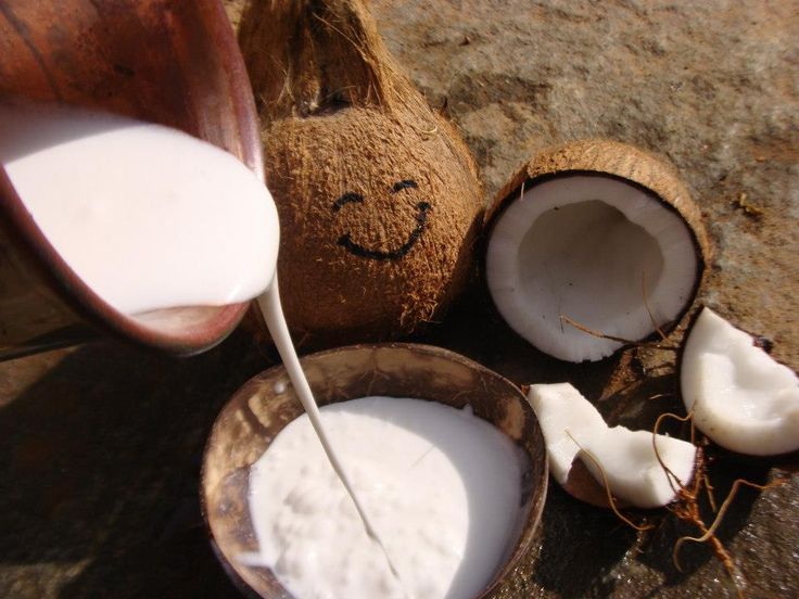 Tips memilih mesin parut